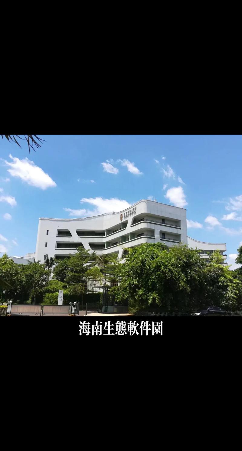海南软件开发市场：一片充满活力的新蓝海